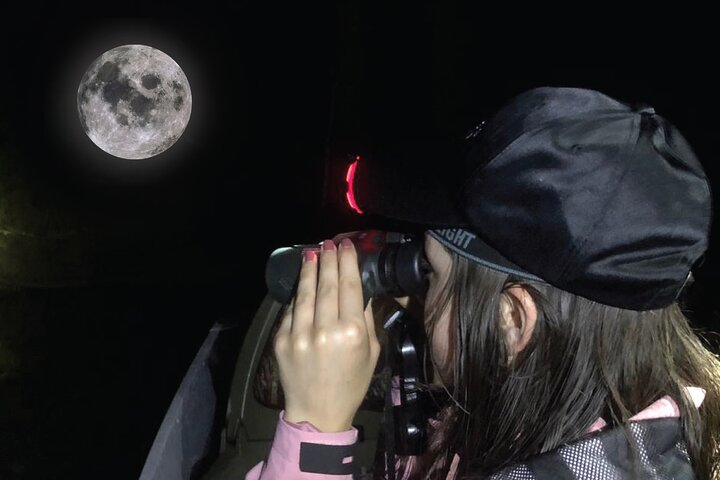 Mangrove Night Tour - Photo 1 of 22